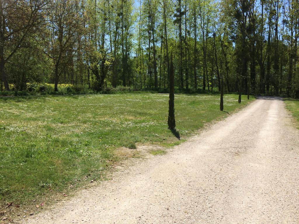 Gite Du Ruisseau De La Renne Thésée Exteriör bild